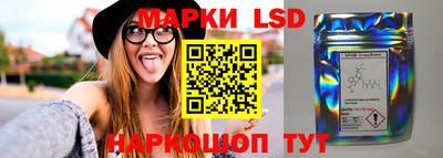 гашик Малгобек