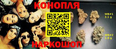 гашик Малгобек