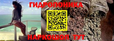 гашик Малгобек