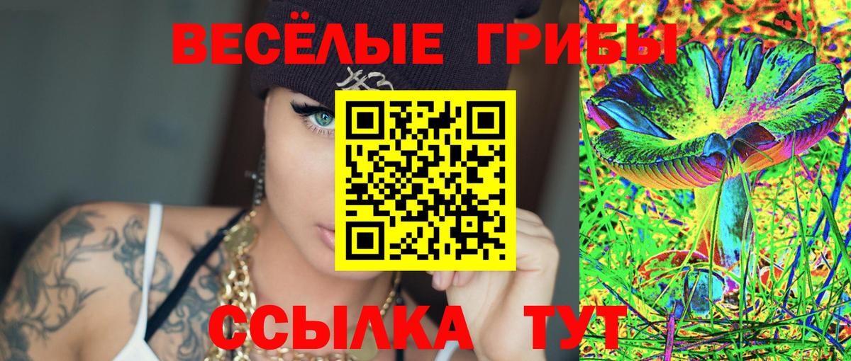 Галлюциногенные грибы Psilocybine cubensis  Вход с VPN  Каменка  где продают наркотики  Псилоцибиновые грибы ЛСД 