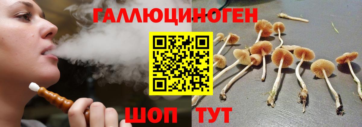 Галлюциногенные грибы ЛСД Каменка